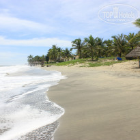 фото из отзыва ID 837392