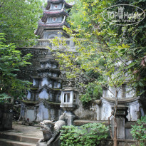 фото из отзыва ID 837392