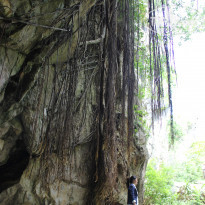 фото из отзыва ID 837392