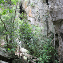 фото из отзыва ID 837392