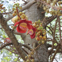 фото из отзыва ID 837392