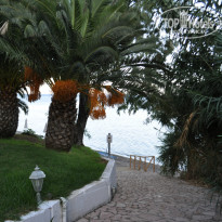 фото из отзыва ID 837476