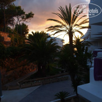 фото из отзыва ID 837590