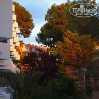 фото из отзыва ID 837590