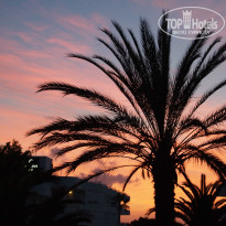 фото из отзыва ID 837590