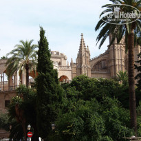 фото из отзыва ID 837590