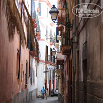 фото из отзыва ID 837590