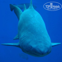 фото из отзыва ID 837590