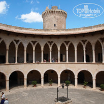 фото из отзыва ID 837590