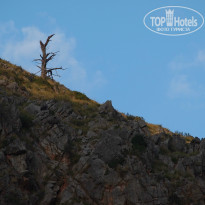 фото из отзыва ID 837590