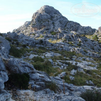 фото из отзыва ID 837590