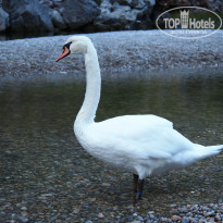 фото из отзыва ID 837590