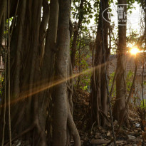 фото из отзыва ID 837764