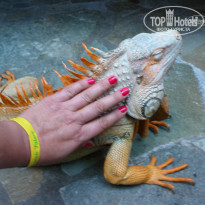 фото из отзыва ID 837851