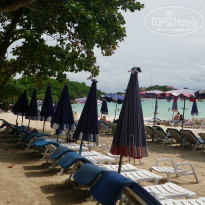 фото из отзыва ID 837858