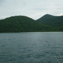 фото из отзыва ID 837858