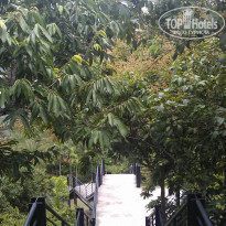 фото из отзыва ID 837858