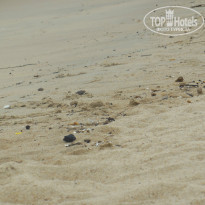 фото из отзыва ID 837883