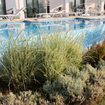 фото из отзыва ID 837939