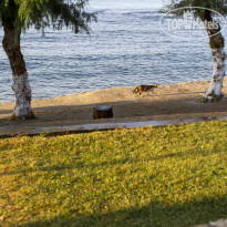 фото из отзыва ID 837185