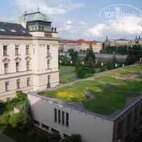 фото из отзыва ID 83768