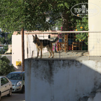 фото из отзыва ID 838190