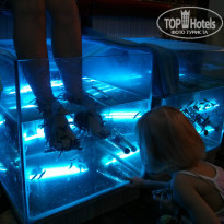 фото из отзыва ID 838352