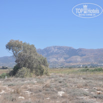 фото из отзыва ID 838448