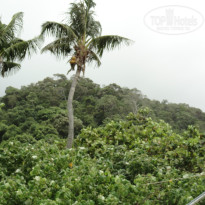 фото из отзыва ID 838522