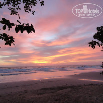 фото из отзыва ID 838522