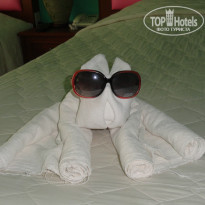 фото из отзыва ID 838522