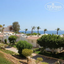 фото из отзыва ID 838507