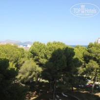 фото из отзыва ID 838679