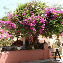 фото из отзыва ID 838681