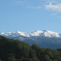 фото из отзыва ID 838774