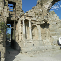 фото из отзыва ID 838788