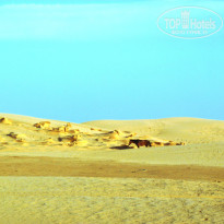 фото из отзыва ID 838994