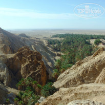 фото из отзыва ID 838994