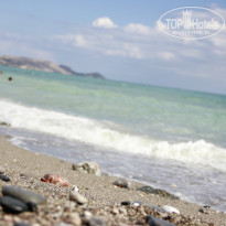 фото из отзыва ID 838666