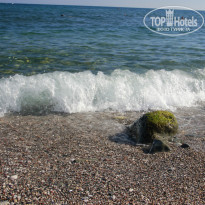 фото из отзыва ID 838666