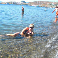 фото из отзыва ID 838730