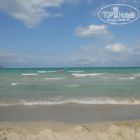 фото из отзыва ID 839049