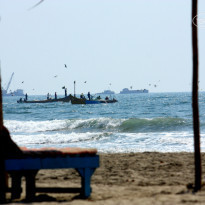 фото из отзыва ID 839085