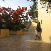 фото из отзыва ID 839096