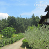 фото из отзыва ID 839153