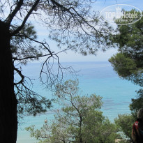 фото из отзыва ID 839153