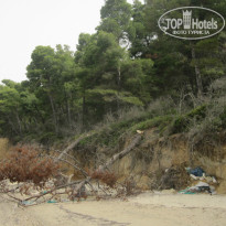 фото из отзыва ID 839153