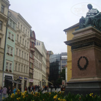 фото из отзыва ID 839185