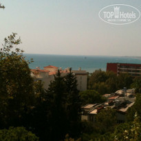 фото из отзыва ID 839236