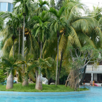 фото из отзыва ID 839308